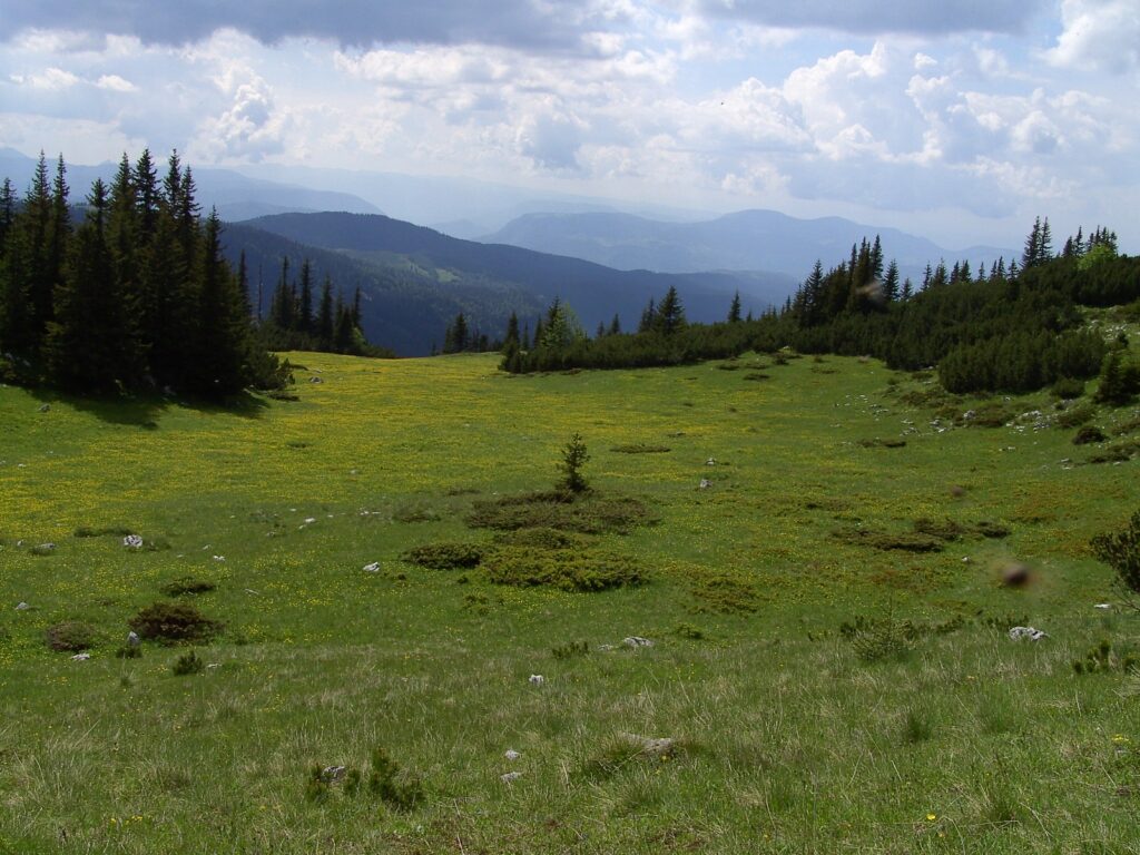 Ljubišnja Mountain2